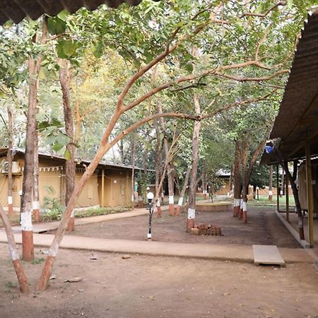 Nature Trails Sajan, Vikramgad Kudān Dış mekan fotoğraf